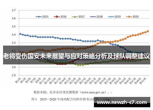 老将受伤国安未来展望与应对策略分析及球队调整建议