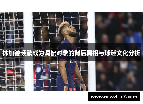 林加德频繁成为调侃对象的背后真相与球迷文化分析