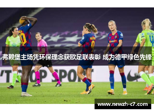 弗赖堡主场凭环保理念获欧足联表彰 成为德甲绿色先锋 弗赖堡主场凭环保理念获欧足联表彰 成为德甲绿色先锋