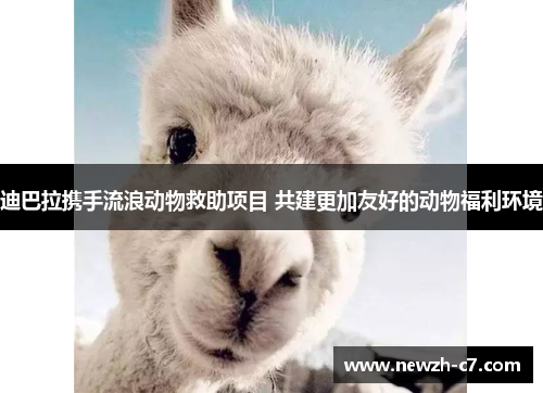 迪巴拉携手流浪动物救助项目 共建更加友好的动物福利环境