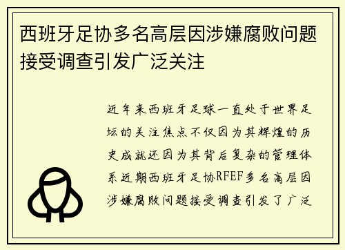 西班牙足协多名高层因涉嫌腐败问题接受调查引发广泛关注 西班牙足协多名高层因涉嫌腐败问题接受调查引发广泛关注